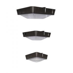 selectable Kelvin Canopy lights