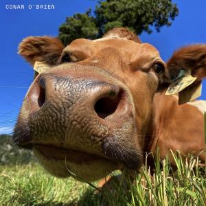 The Grinns - "Conan O'Brien" Cover