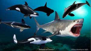 A pod of Orcas attack a threatening Megalodon shark