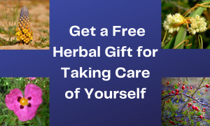 Take the Self Care Challenge and Receive a Free Herbal Gift