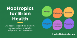 BrainStorm Nootropic Brain Health Kits from Linden Botanicals