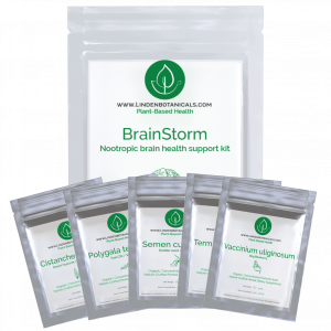 BrainStorm Nootropic Brain Health Kits from Linden Botanicals