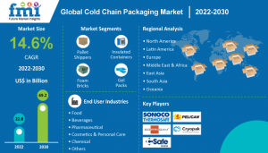 Cold Chain Packaging Market