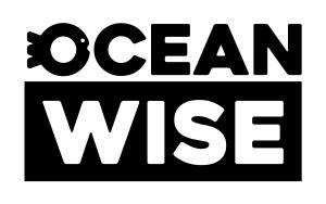 The new Ocean Wise brand identity supports a promise to 'Take action for the ocean today, so we can all flourish" by being bold and inspiring. It is inspirational, courageous and solutions-oriented.
