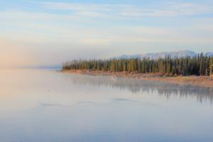 Yukon. Credit: Minnie Clark