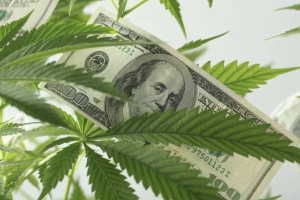 Cannabis equals dollars