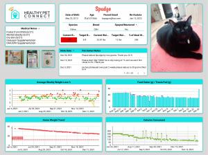 This is a veterinary dashboard that has pictures of Spudge, the food & treats he eats and his weight loss trends, medical and pet parent notes.