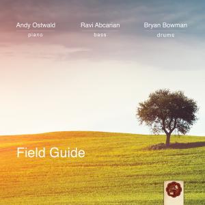 Andy Ostwald Trio - Field Guide Cover