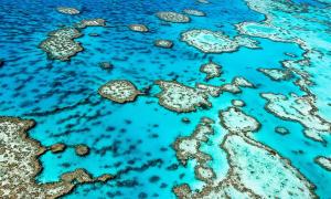 Great Barrier Reef, one of the natural wonders of the world to experience in Australia #greatbarrierreef #australia www.SweetHipTrips.com