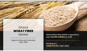 Wheat Fiber Market
