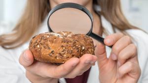 Food Emulsifiers Market