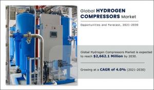 Hydrogen Compressor Market Share