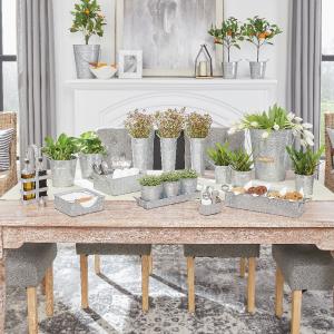 Walford Home's Garden Collection