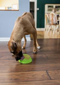 Smear your dog's favorite soft food onto the Dog Lick Bowl and watch them entertain themselves