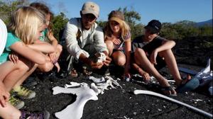 Kids looking at a dolphin skeleton in Galapagos