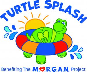 Turtle splash logo