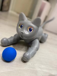 with visual effect and overall expression Marscat is a good companion AI robot pet