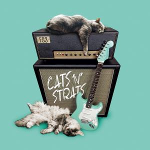 FS3 Trio Featuring Austrian Guitarist Joe Doblhofer Releases Debut Album “Cats ‘n’ Strats”