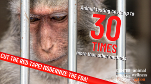 A caged monkey shows ills of unnecessary FDA testing on animals.