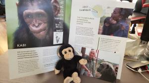 Cheeky Monkey Media Adopt-a-Primate initiative