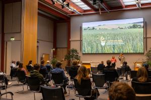 DBU new energy-saving LED wall
