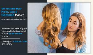 Female Hair Piece, Wig, and Extension Market