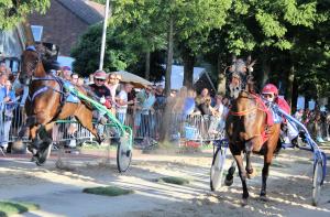 Horses competing in street race in the town of Heemskerk
