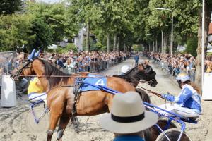 Horses at the start of a street race in the town of Santpoort