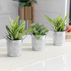 Walford Home 4 Inch Pot Set