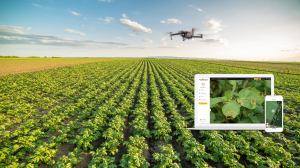 AgroScout Data Precision Agriculture