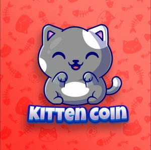 Kitten Coin Is On The Binanace Smart Chain