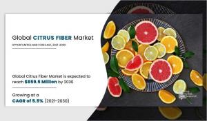 Citrus Fiber Market 2030