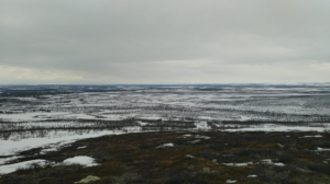 View from a Lappish hill or "vaara"