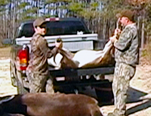 Big game is not light find yourself a roadkill buddy.