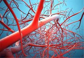 artificial blood vessels market