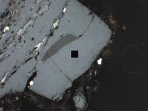 Vitrinite coal being analyzed for thermal maturity