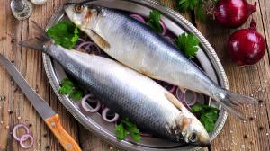 Herring Market