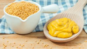 Prepared Mustard Market Size, Report by Share, Growth, Trends and Forecast to 2032