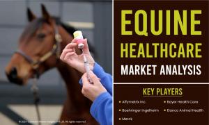 Equine Healthcare Market to Witness Enhanced Growth in Upcoming Years