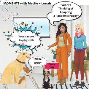 Mettalusso Original Entertainment- MOMENTS: Mettie + Lunah's Forever Journey