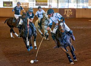 two arena polo players on horses battling for ball possession
