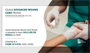Global Advanced Wound Care Market Segmentation