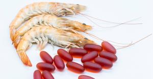 Krill Oil Market