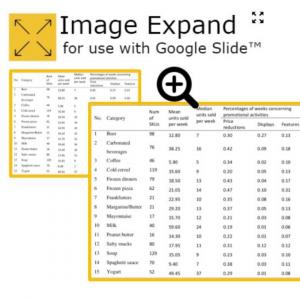 Image Zoom GoogleSlides