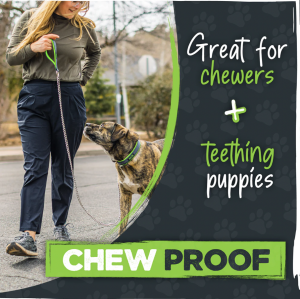 Mighty Paw's Chain Dog Leash is great for chewers and teething puppies