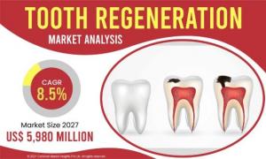 Tooth Regeneration Market