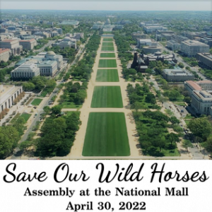Photo of National Mall SOWH Event