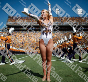 LSU Digital Smart TVs Sports Art Screen-Saver