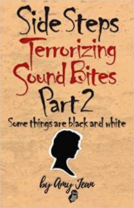 The Los Angeles Times Festival of Books presents Side Steps Terrorizing Sound Bites Part 2