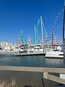 Photo of yatchs in the harbour dressed with flags for the boat show
